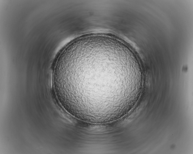 X0000097671171200803142148