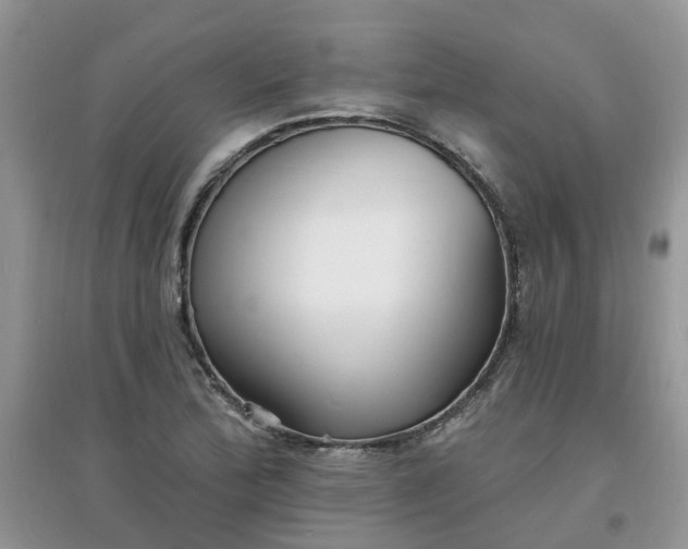X0000097671172200803142148
