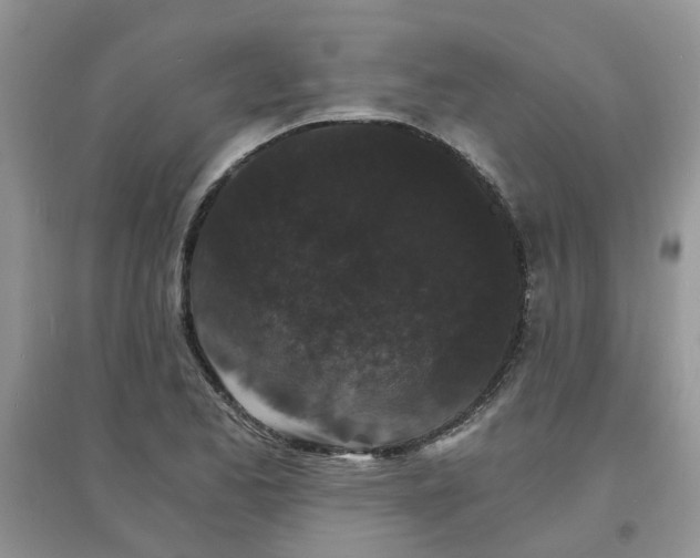 X0000097671173200803142148