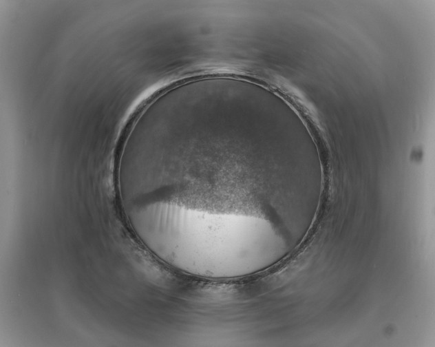 X0000097671174200803142148