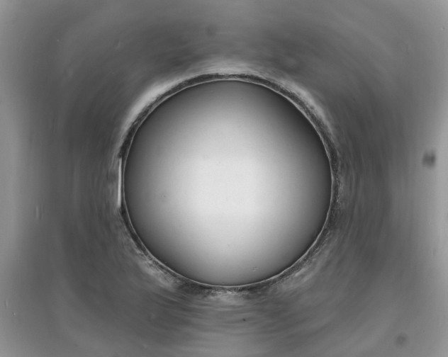 X0000097671175200803142148