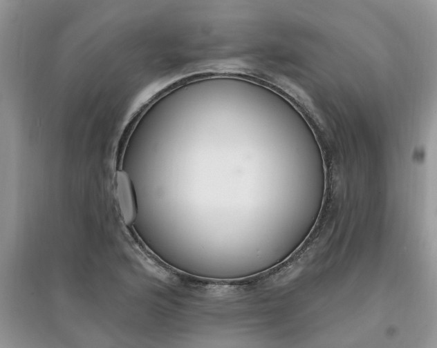 X0000097671176200803142148