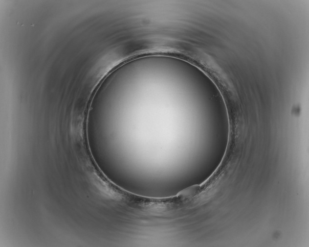 X0000097671177200803142148