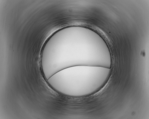 X0000097671178200803142148