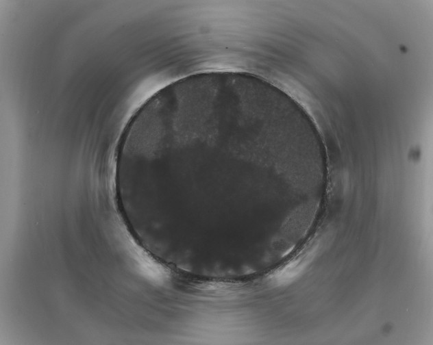 X0000097671179200803142148