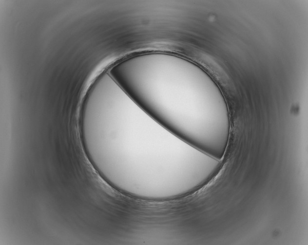X0000097671180200803142148