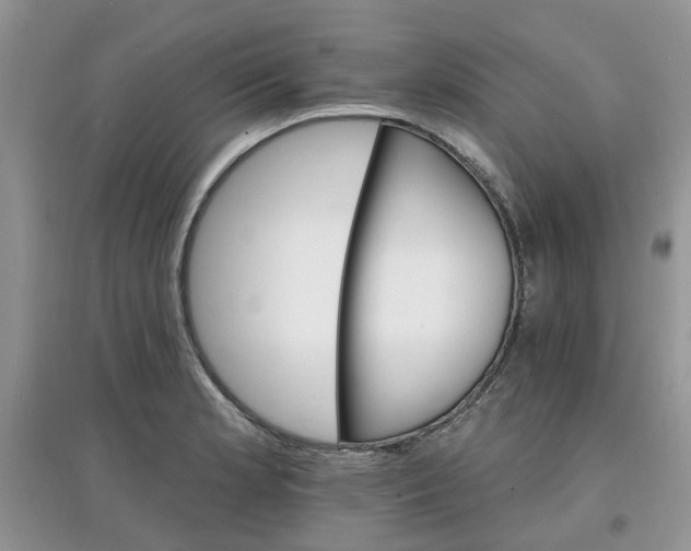 X0000097671181200803142148