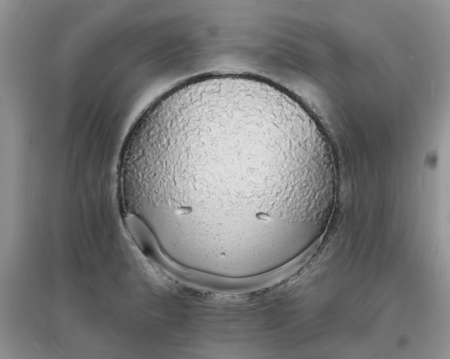 X0000097671183200803142148