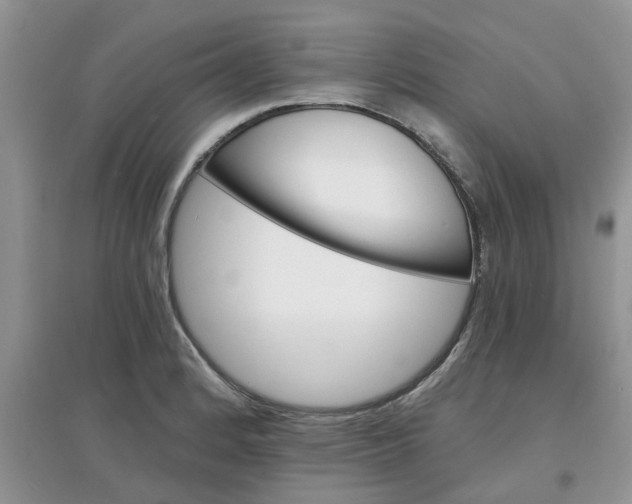 X0000097671184200803142148
