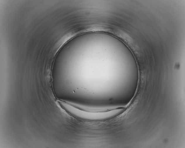 X0000097671185200803142148