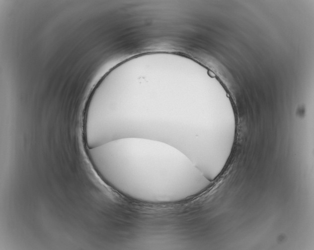 X0000097671187200803142148