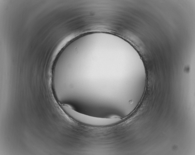 X0000097671188200803142148