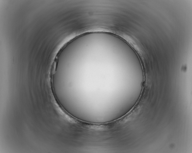 X0000097671189200803142148