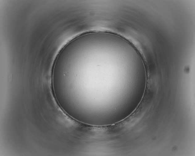 X0000097671191200803142148
