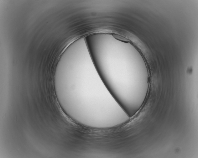 X0000097671193200803142147