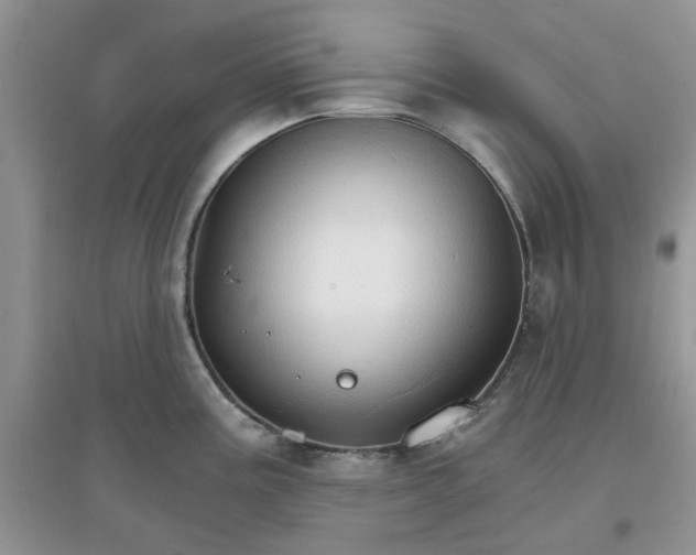 X0000097671195200803142147