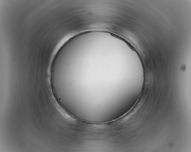 X0000097671196200803142147