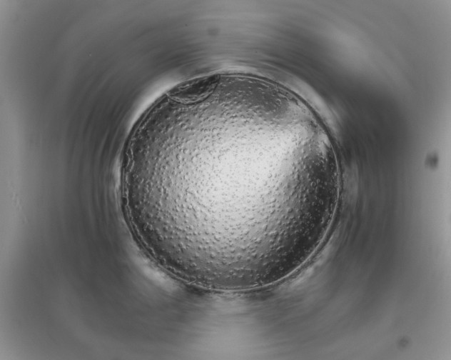 X0000097671198200803142147