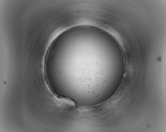 X0000097671199200803142147