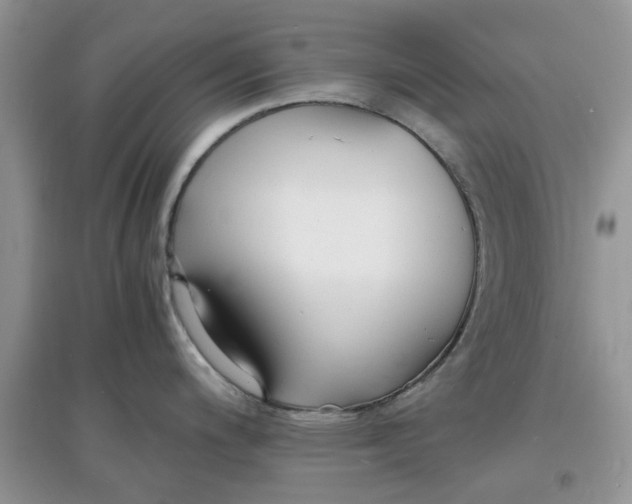 X0000097671200200803142147