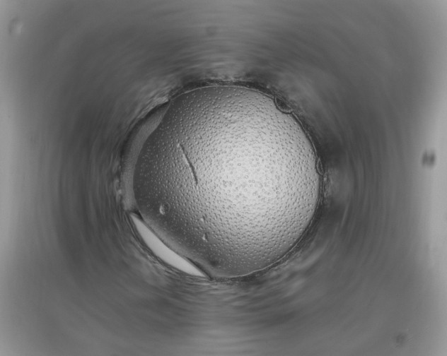 X0000097671202200803142147