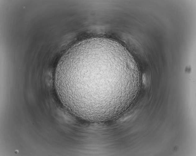 X0000097671203200803142147