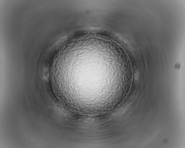 X0000097671204200803142147