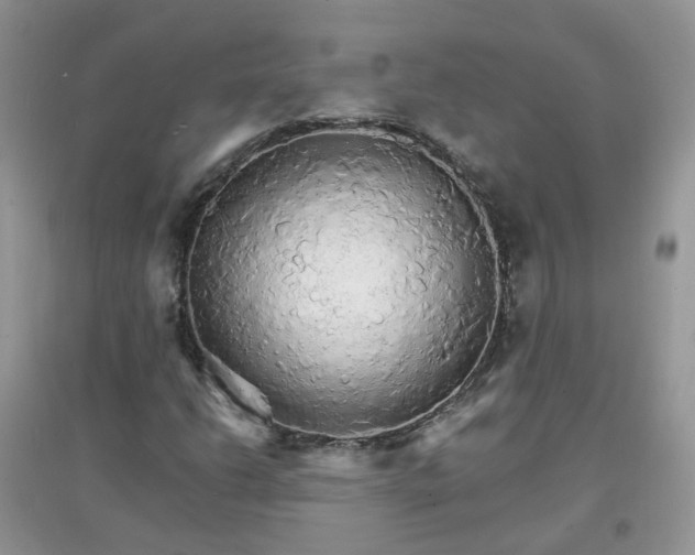 X0000097671206200803142147