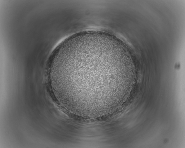 X0000097671208200803142147