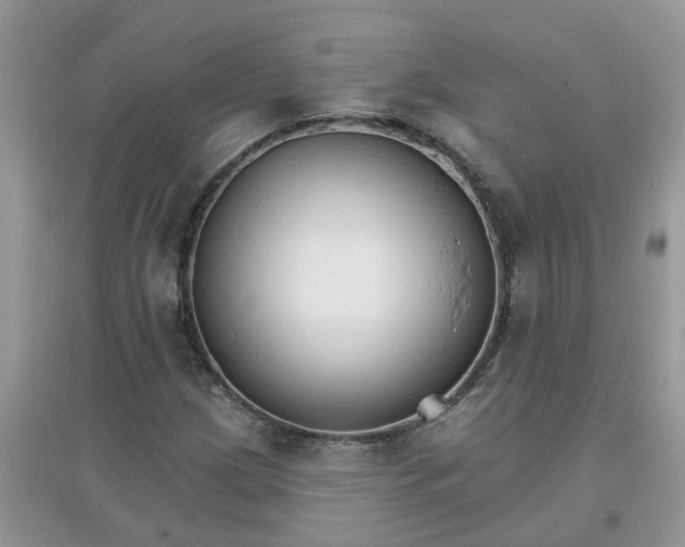 X0000097671209200803142147