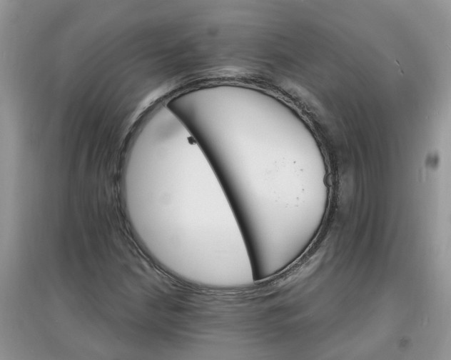 X0000097671210200803142147