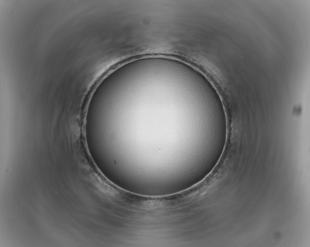 X0000097671212200803142147