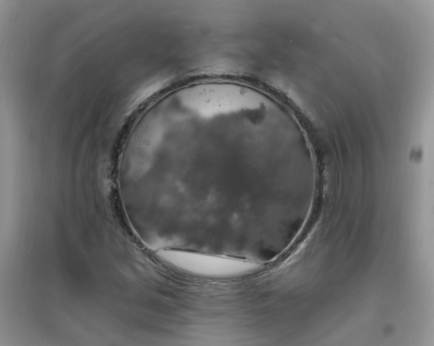 X0000097671213200803142147