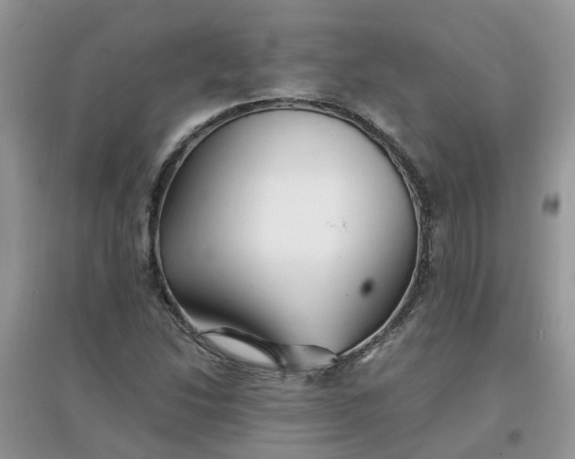 X0000097671214200803142147