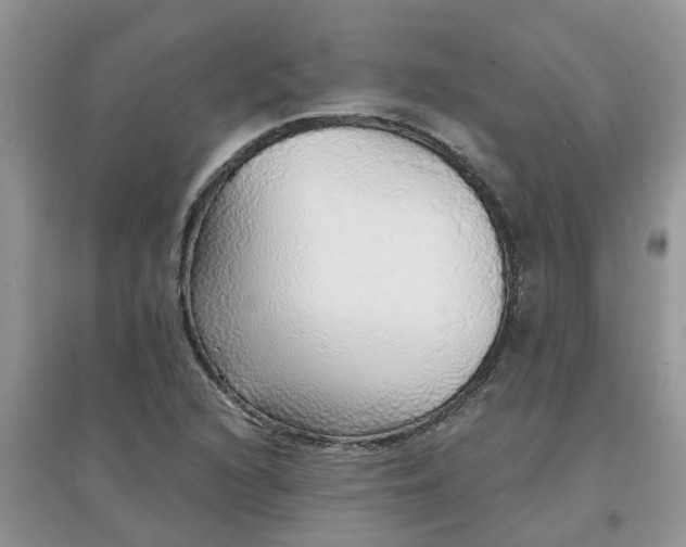 X0000097671216200803142147