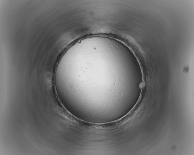 X0000097671217200803142147