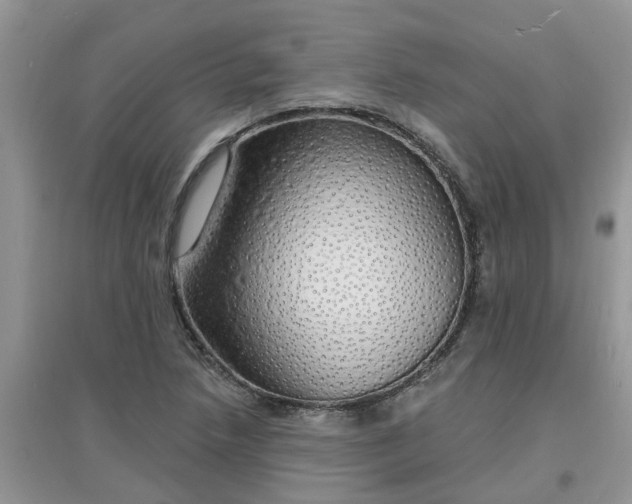 X0000097671218200803142147