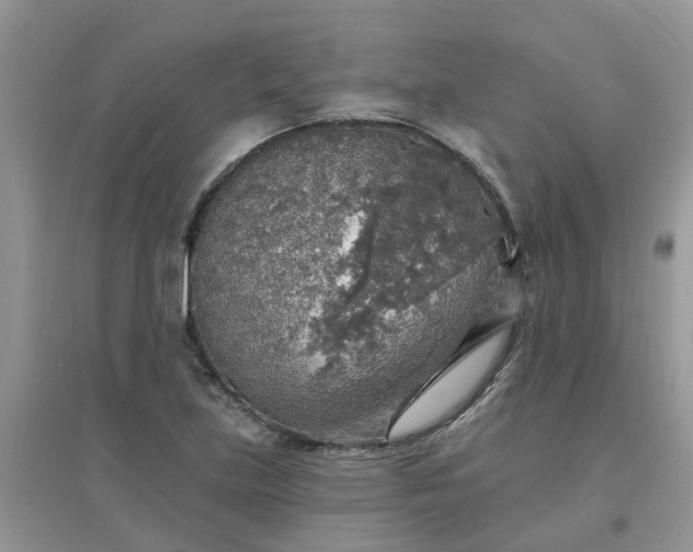 X0000097671219200803142147