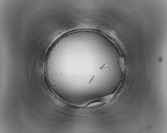 X0000097671220200803142147