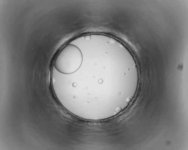 X0000097671221200803142147