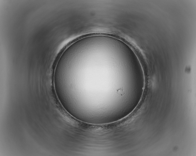 X0000097671222200803142147