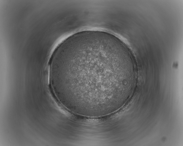 X0000097671223200803142147