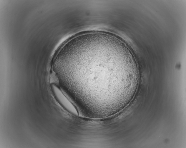 X0000097671224200803142147