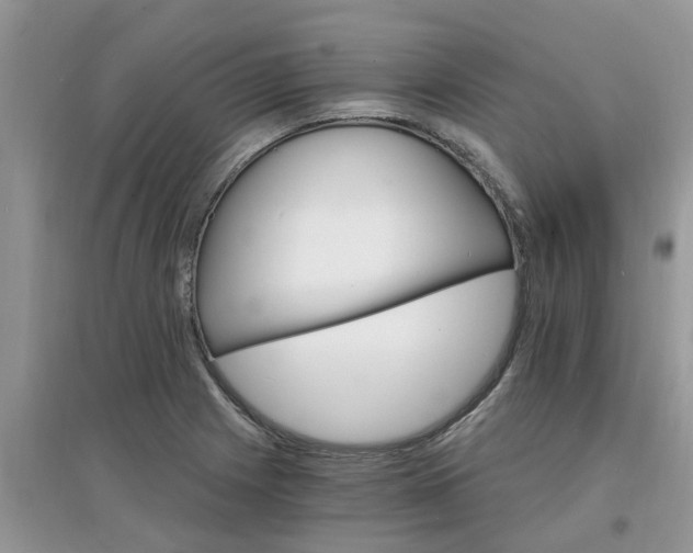 X0000097671225200803142147