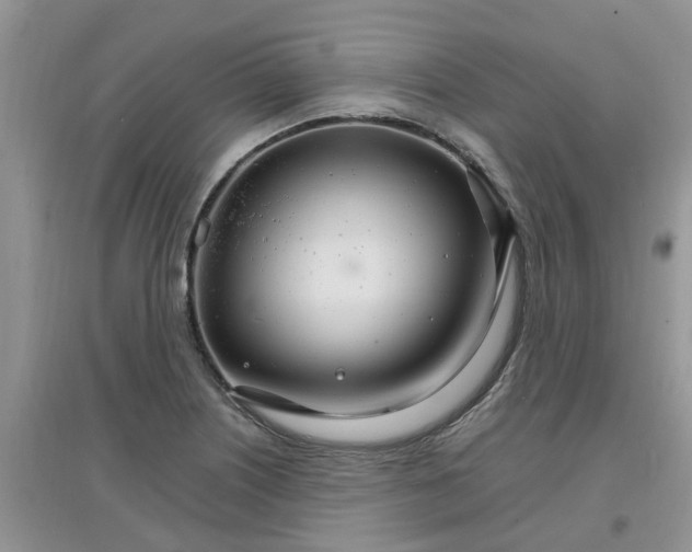 X0000097671226200803142147