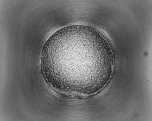 X0000097671228200803142147