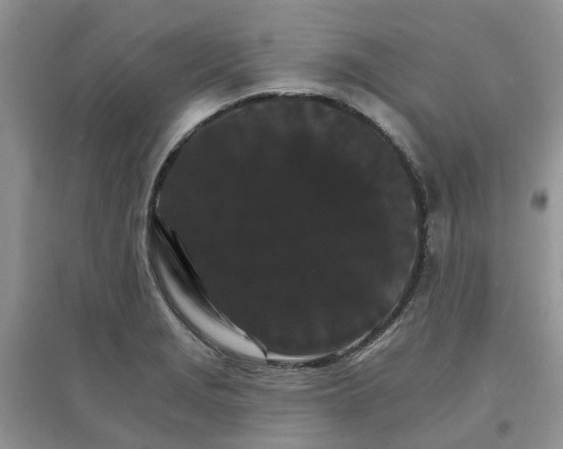 X0000097671229200803142147