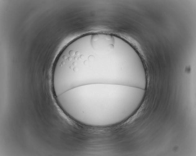 X0000097671231200803142147