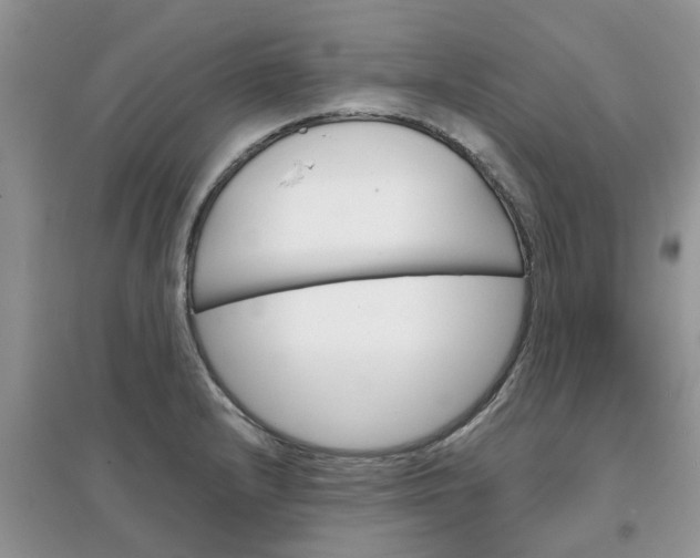 X0000097671232200803142147