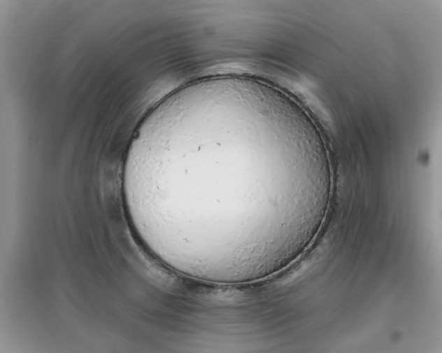 X0000097671233200803142147